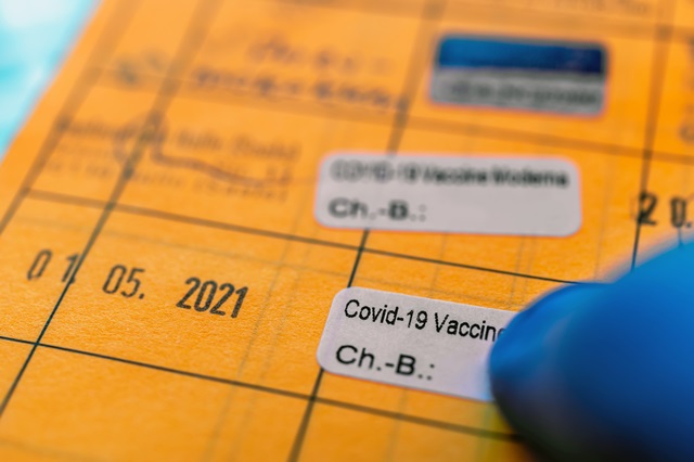 Foto: Ralf Geithe/stock.adobe.com